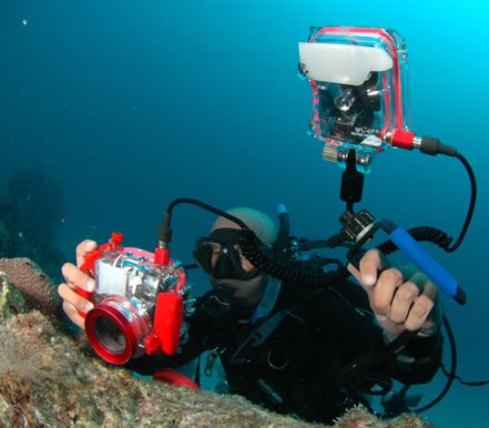 foto submarina, foto bajo el agua, camaras resistentes al agua